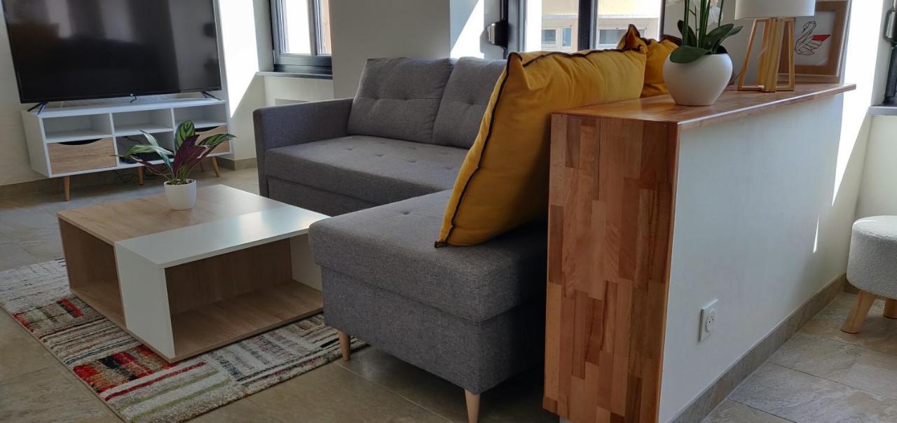 Le Cygne, Appartement De Standing En Hyper-Centre Sarreguemines Exterior foto